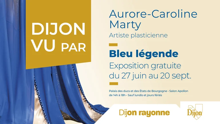 À Dijon, un roi bleu s’invite dans les monuments