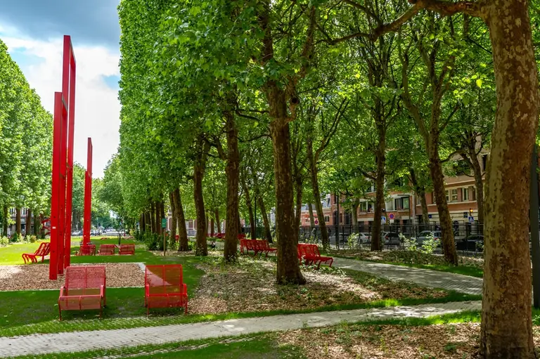 À Lille, une place devient plus verte et moins routière