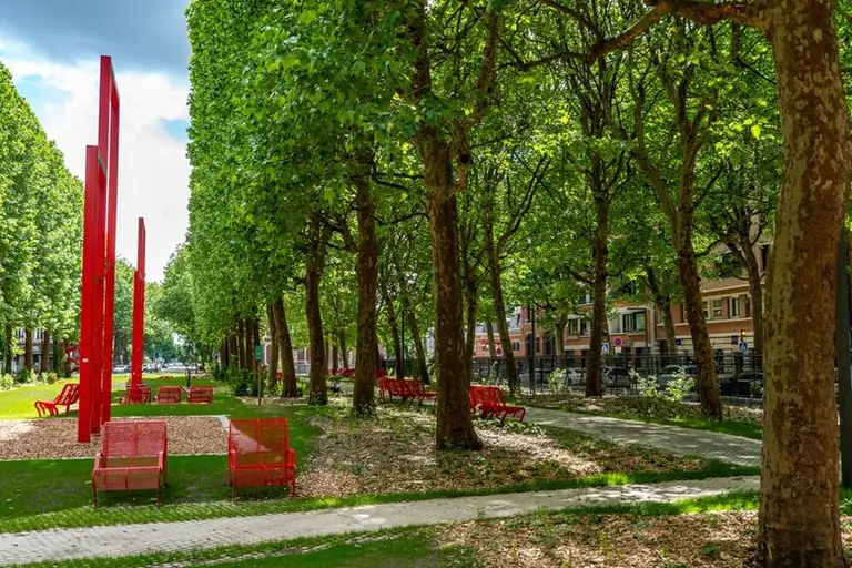 À Lille, une place devient plus verte et moins routière