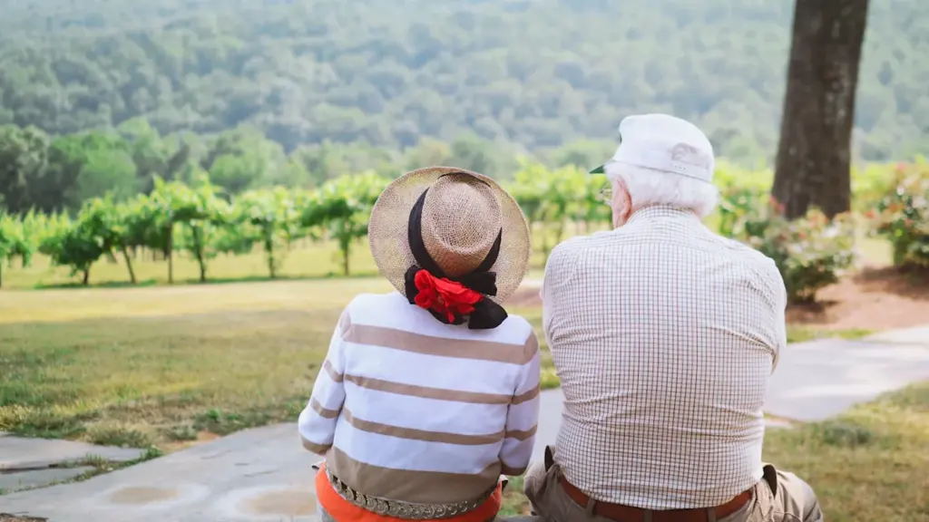 Un couple de seniors assis de dos face à un paysage verdoyant et paisible.