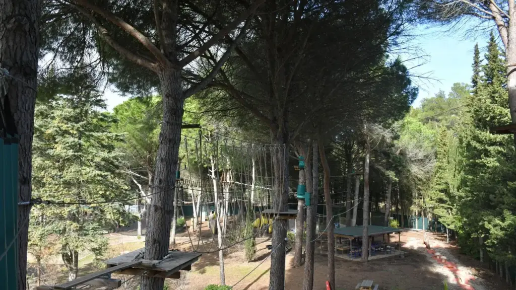 Parcours d'accrobranche avec des plateformes en bois suspendues entre de grands pins forestiers.