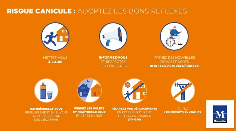 Montpellier face à la chaleur : les gestes qui protègent
