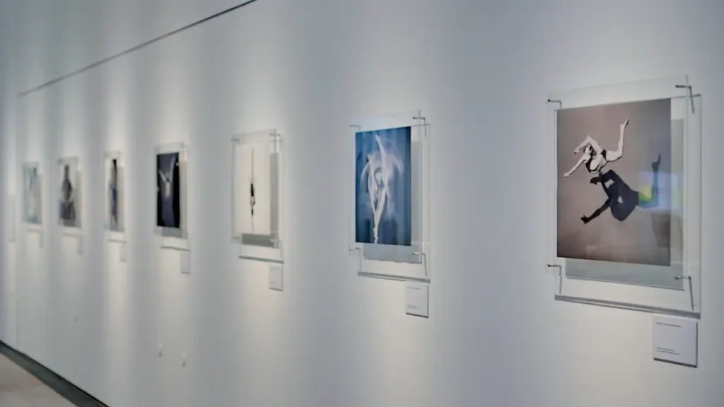 Photographies artistiques exposées sur un mur blanc dans une galerie d'art moderne.