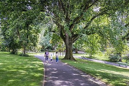 À Angers, deux parcs attendent l’avis des habitants