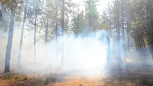 À Montpellier, l’été impose des gestes anti-incendie