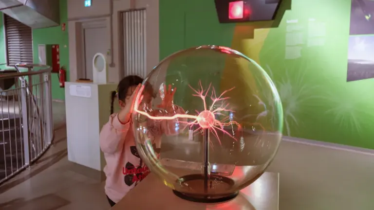 Atelier Bout’choux : une sortie gratuite au Muséum de Grenoble