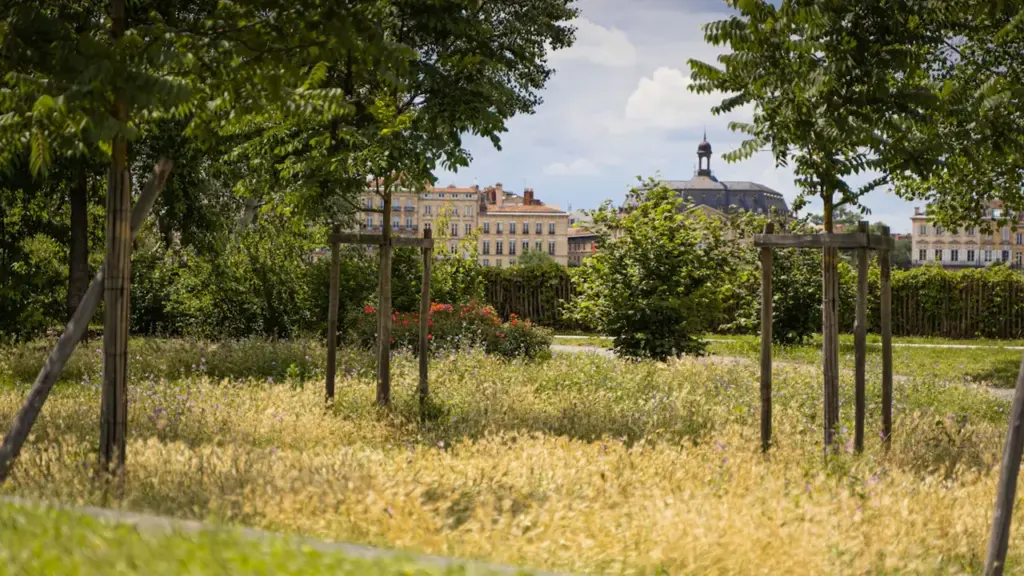 Vue panoramique du Jardin botanique de Bordeaux avec ses arbres et pelouses verdoyantes.
