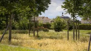 Bordeaux: les 1000 premiers jours au jardin, entrée libre