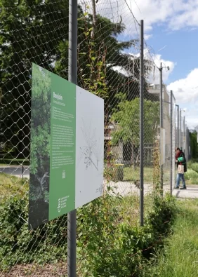 Ex(s)istere à Saint-Étienne : l’exposition végétale gratuite
