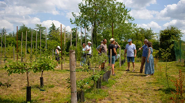 « Le verger en été » gratuit à Grand Quevilly le 22 juillet