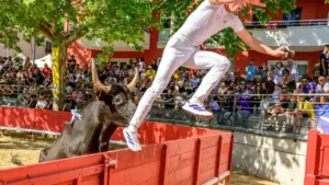 Montpellier : six sorties à découvrir du 31 juillet au 2 août: ce qu’il faut retenir
