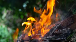 Saint-Jean-de-Luz ferme un site face au risque de feu