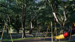À Lannion, une cour de crèche s’adapte aux fortes chaleurs