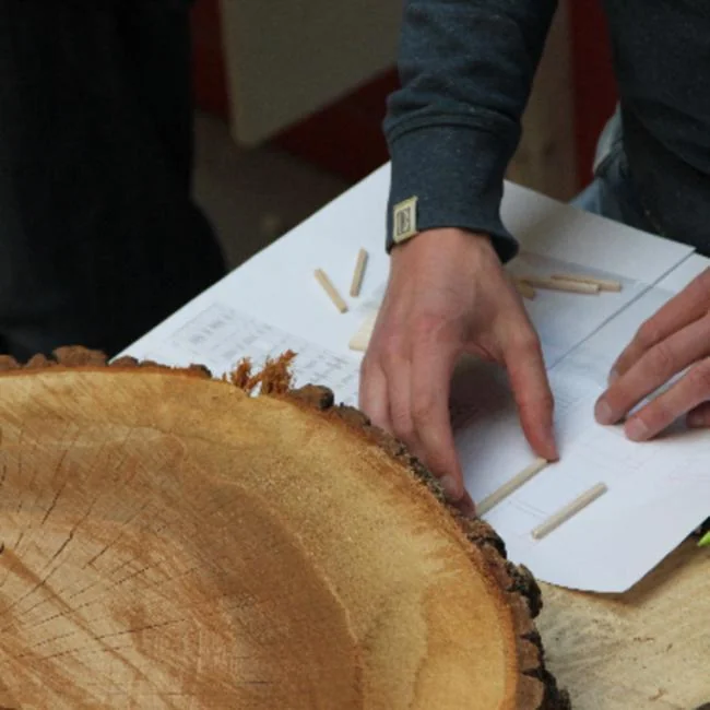 ARBOREACARLO à Bordeaux : l’atelier forêt gratuit du 26 août