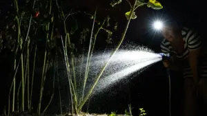 Au Tampon, l’alerte eau impose encore ses règles