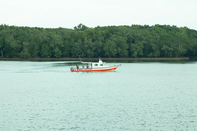 Balade en bateau sur la Loire à Orléans dès 8,50 €