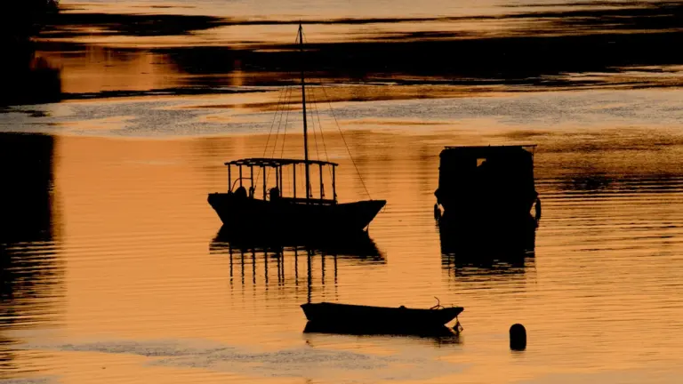 Balade sur la Loire : découvrez Orléans à bord de l’Evurtius