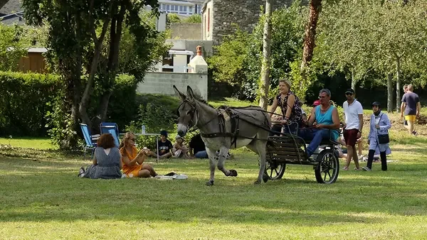 Fête des ânes à Cherbourg : 23 août, journée familiale à l'entrée libre