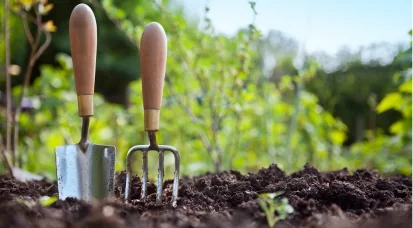 Grand Quevilly : atelier gratuit autour des aromates