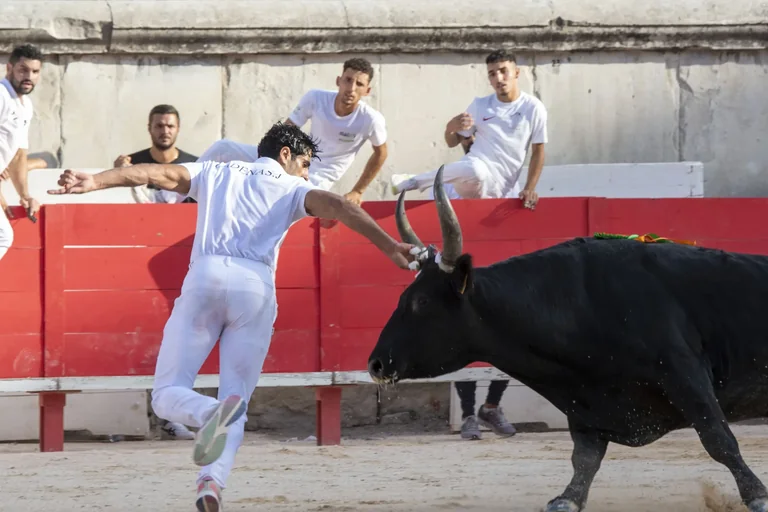 Jeudis de Nîmes : votre soirée du 13 août en accès libre