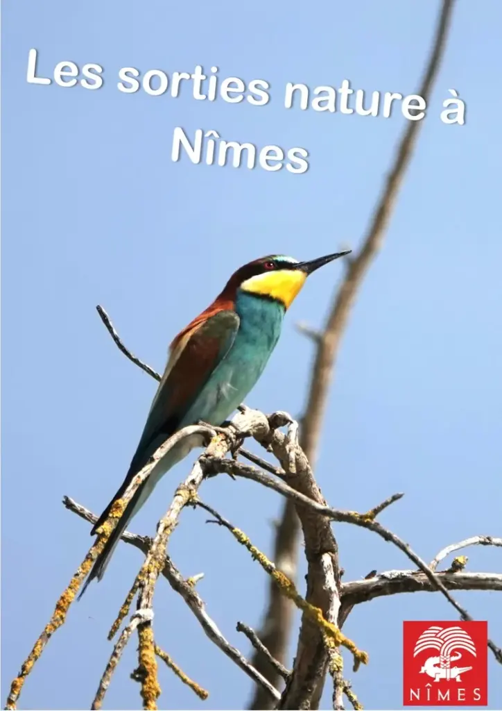 Nîmes : le réveil des oiseaux, gratuit le 23 août